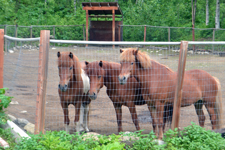 Gang of three